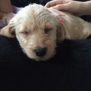 Meet your Posher, Katelyn