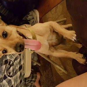 Meet your Posher, Katelynn