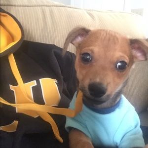 Meet your Posher, John