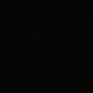 Meet your Posher, Tyee