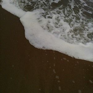 Meet your Posher, Trinity