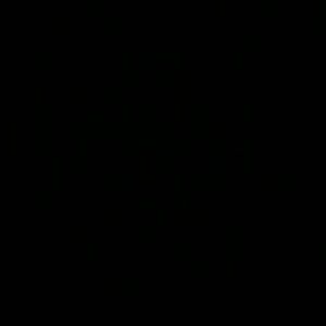 Meet your Posher, Jen