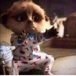 Meet your Posher, Tabitha