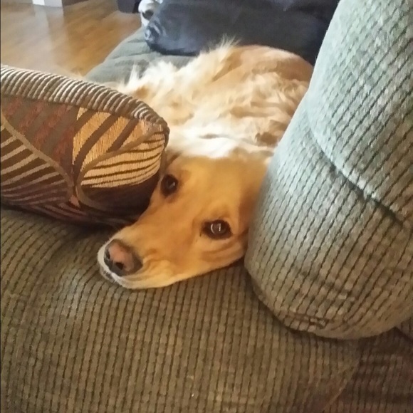 💎🔥Meet Your Posher, Jennifer Lynne🔥💎 - Picture 7 of 8