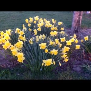 Meet your Posher, Molly