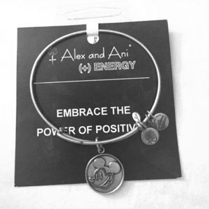 Silver Alex and Ani energy bracelet