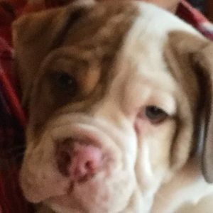 Meet your Posher, Felicia