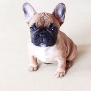 Meet your Posher, Kailey