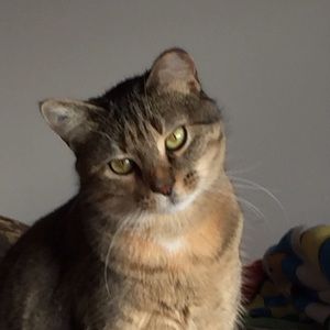 Meet your Posher, Tammy