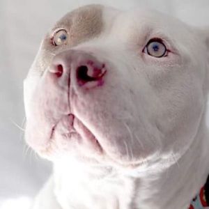 Meet your Posher, Robyn