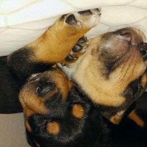 Meet your Posher, Breanna