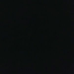 Meet your Posher, Freddie