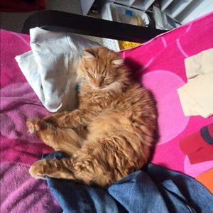 Meet your Posher, Jason