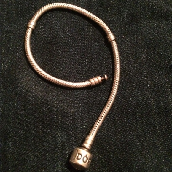 Pandora charm bracelet