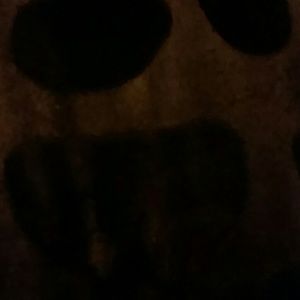 Meet your Posher, Isabel