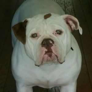 Meet your Posher, Glenn