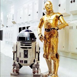 Meet your Posher, Jemma