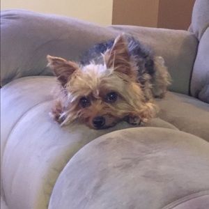 Meet your Posher, Jessica