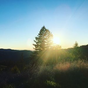 Meet your Posher, Dara