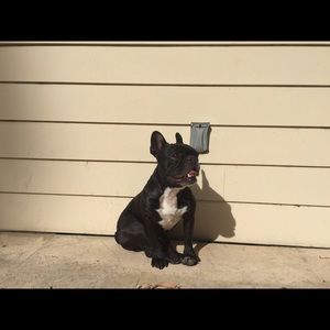 Meet your Posher, Dave