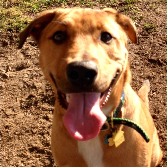 Meet your Posher, Jennifer - Picture 1 of 1