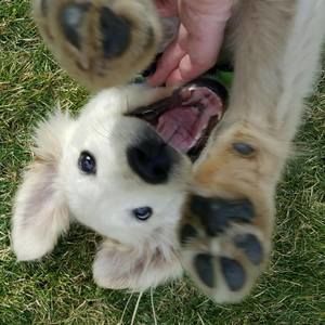 Meet your Posher, Jill  beau