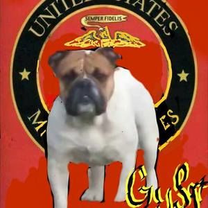 Meet your Posher, Darell