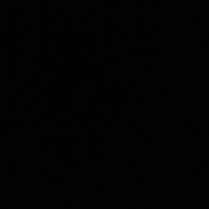 Meet your Posher, Roque