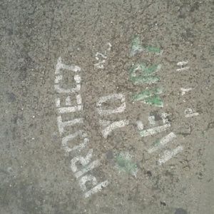 Meet your Posher, Shane