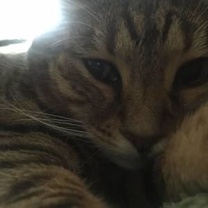 Meet your Posher, Paige