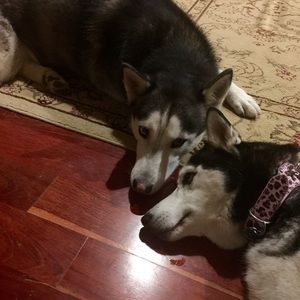 Meet your Posher, Aaron