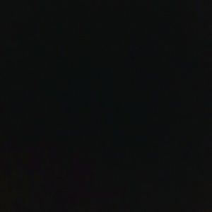 Meet your Posher, Dillon