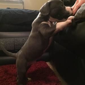 Meet your Posher, Hieu