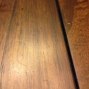 Meet your Posher, Elana