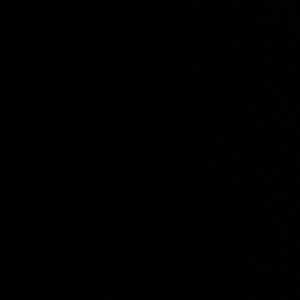 Meet your Posher, Esther