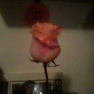 Meet your Posher, Courtney