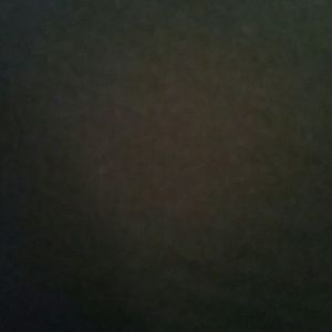 Meet your Posher, Shayla