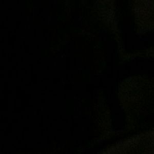 Meet your Posher, Lamar