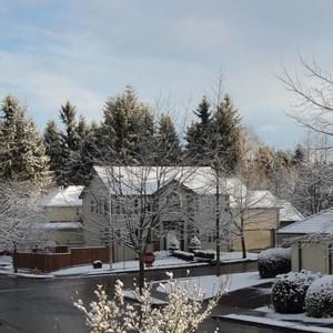 Meet your Posher, Robin