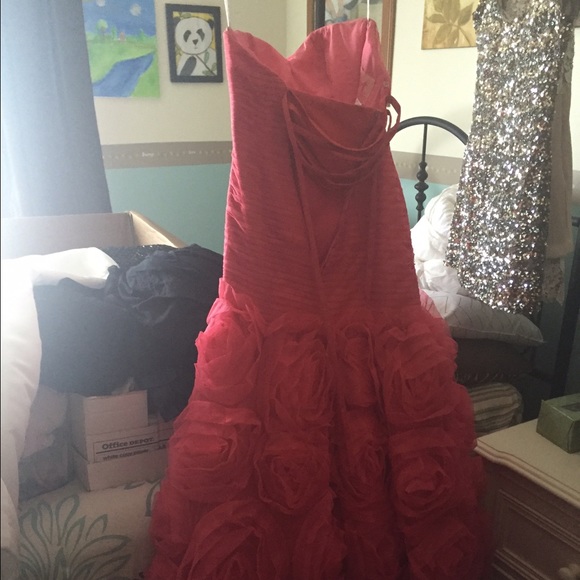 Prom Dress - Picture 3 of 4