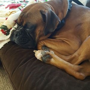 Meet your Posher, Claressa