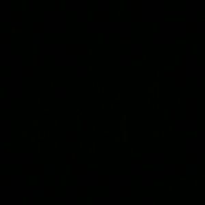 Meet your Posher, Nichole