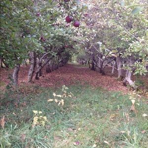 Meet your Posher, Caitlin