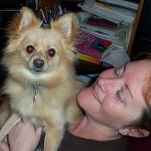 Meet your Posher, Heidi