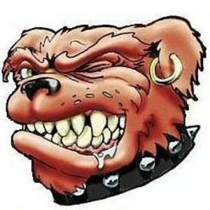 Meet your Posher, Budd