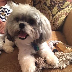 Meet your Posher, Terri