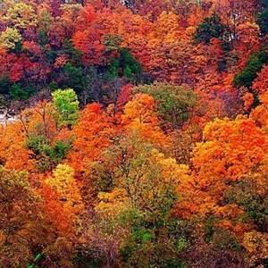 Meet your Posher, Sabrina