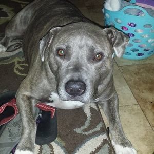 Meet your Posher, Elizabeth