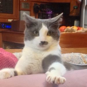 Meet your Posher, Ladonna