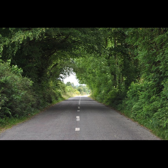 Meet your Posher, Maggie